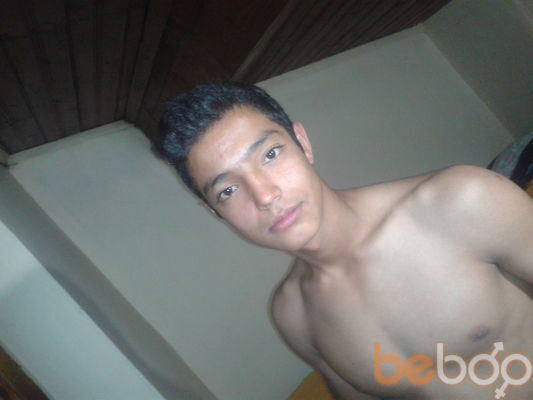  ,   Zver, 33 ,   ,   , c 
