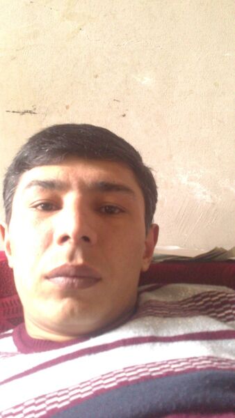  ,   934174577sms, 38 ,   