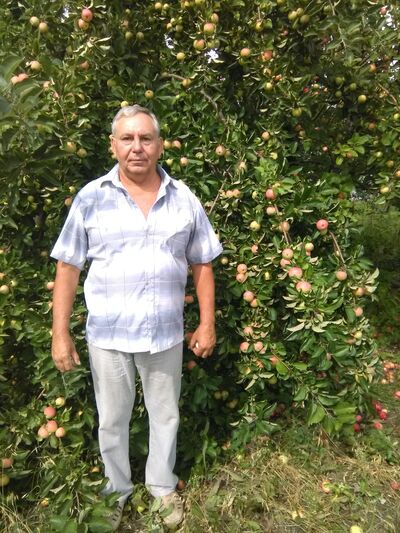  ,   , 68 ,   ,   