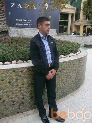  ,   Nebi, 41 ,   