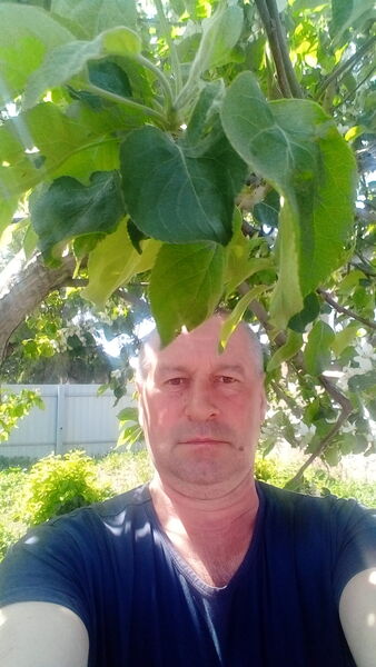  ,   , 48 ,   c 