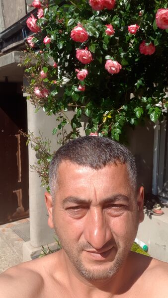  -,   , 43 ,   ,   