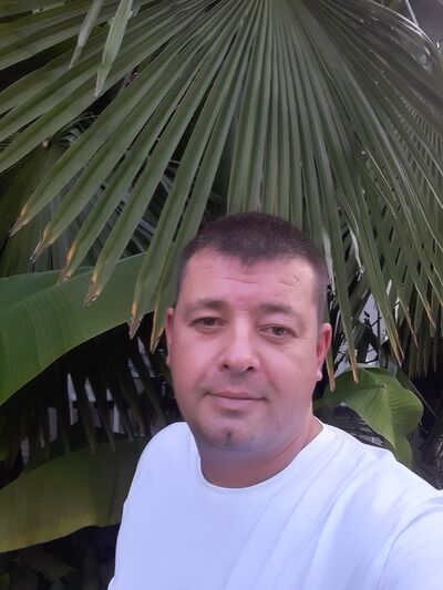  -,   , 41 ,   c 