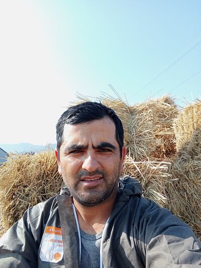  ,   , 34 ,   ,   
