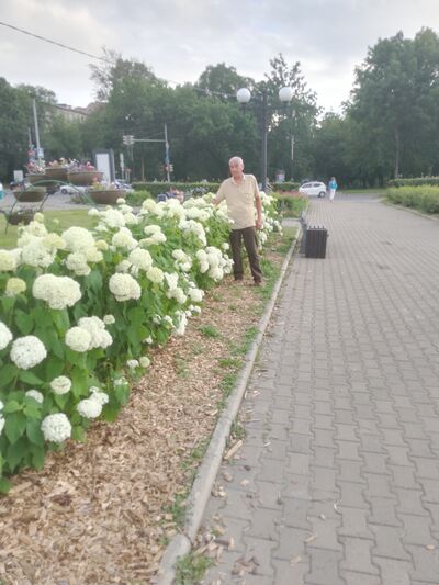  ,   , 59 ,   ,   