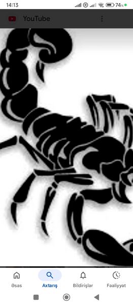  Homberg,   Namil, 44 ,   ,   , c , 