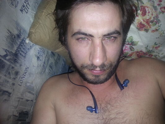   ,   , 41 ,   
