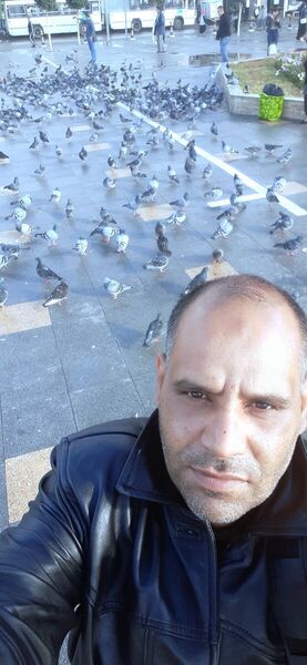  Tlemcen,   Mustafa, 45 ,   ,   , c 
