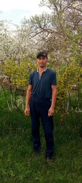  ,   Musa, 45 ,   ,   