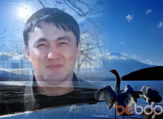  ,   Bidjo, 40 ,   ,   , c 