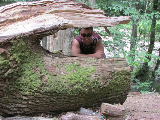   ,   ˸, 39 ,   ,   , c 