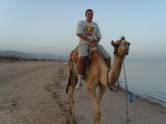 ,   Dima, 30 ,   ,   , c 