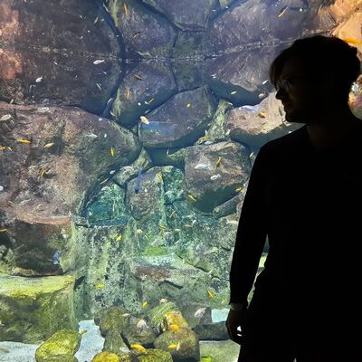  ,   Alexander, 26 ,   ,   