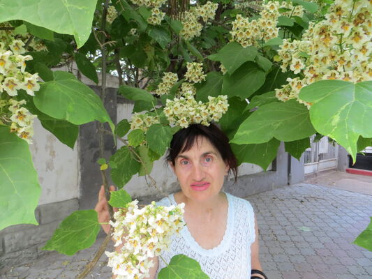  ,   , 65 ,   c 