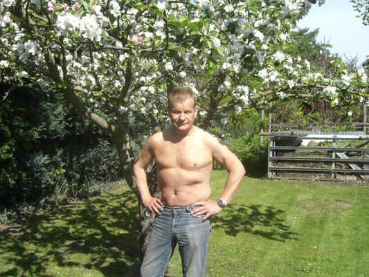   ,   Ted, 40 ,   ,   , c , 