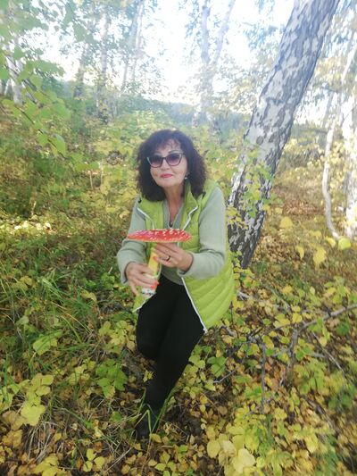  ,   INESSA, 61 ,   , c 