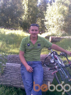  ,   Gosa lilic, 41 ,   