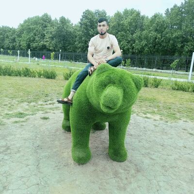  ,   Munis, 24 ,   ,   