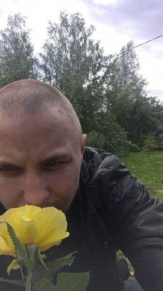   ,   , 38 ,   c 