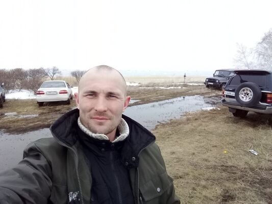  -,   , 41 ,   