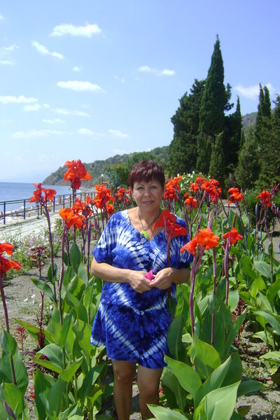 ,   , 63 ,     , c 