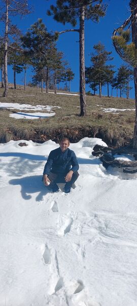  Kotor,   , 43 ,   ,   