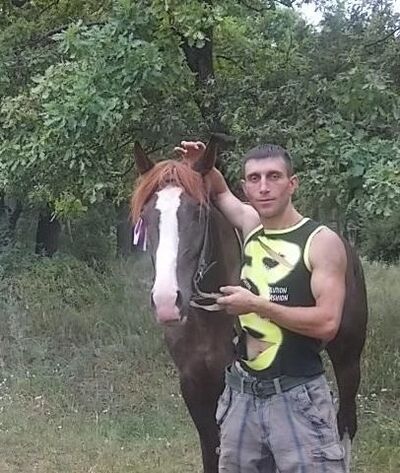  ,   , 38 ,     , c 