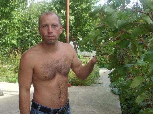  ,   , 48 ,  