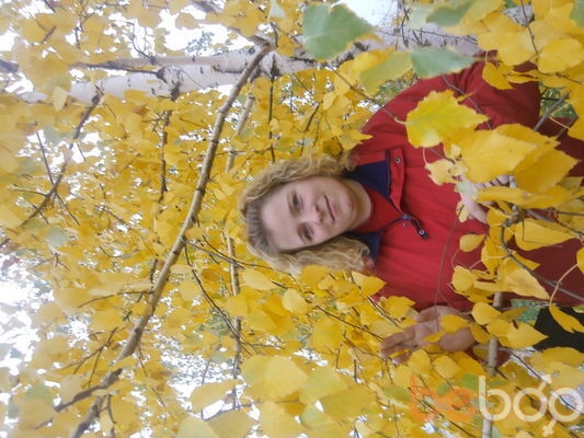 ���������� ���������-�����������, ���� ������� ����, 44 ����, ������������ ��� ������, ����� � ���������, c�������� ���������