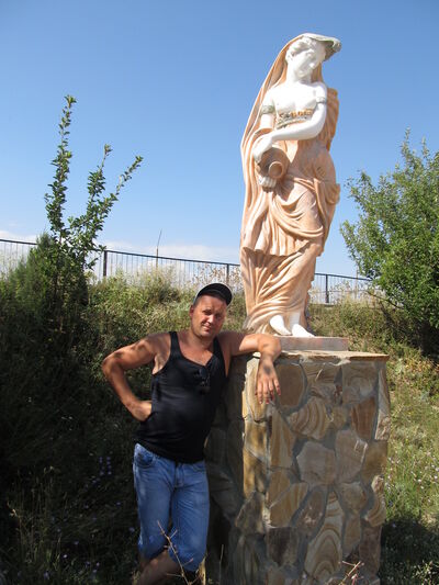  ,   Bars, 41 ,   