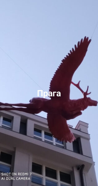  ,   , 56 ,   c 
