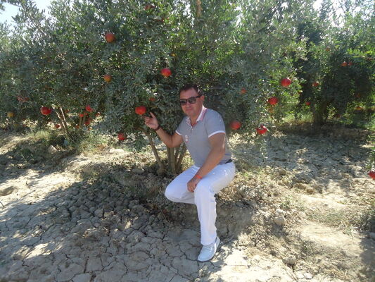  ,   , 54 ,   ,   , c 