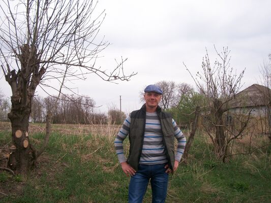  ,   Nicu, 43 ,   ,   , c 