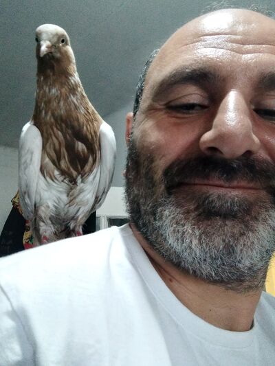  ,   Arman, 47 ,   ,   