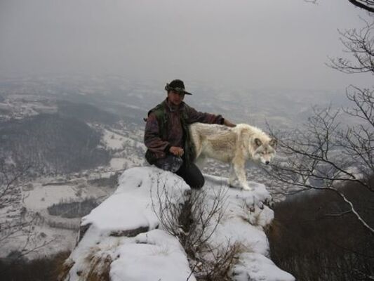  ,   Gorstak, 47 ,   ,   , c 