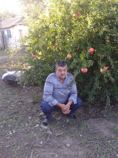  ,   , 59 ,   ,   