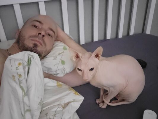  -,   , 36 ,  