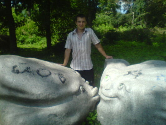  ,   Sila, 41 ,     , c 
