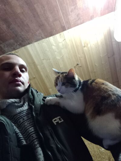   ,   , 27 ,   ,   