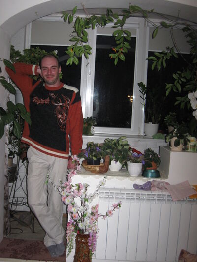  ,   , 44 ,   
