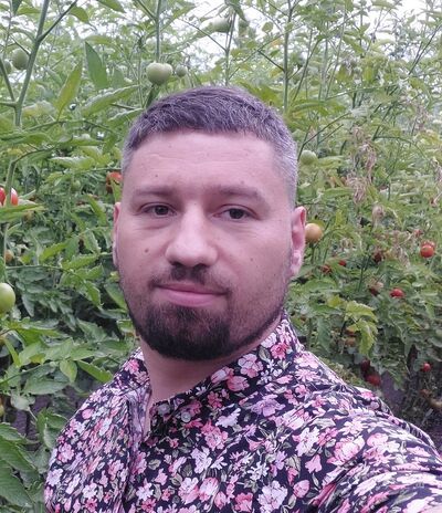  ,    , 38 ,   ,   
