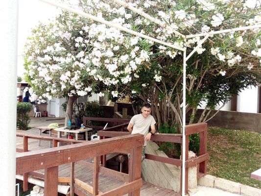  ,   Arsen, 49 ,   ,   