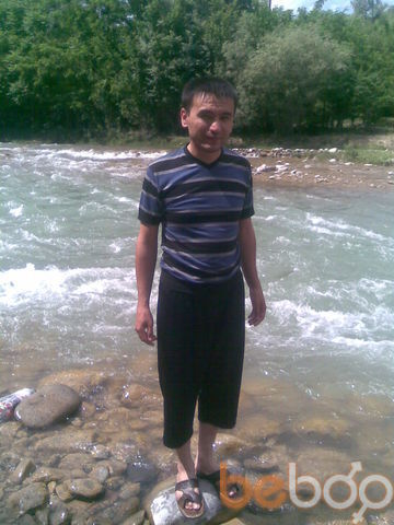  ,   Lion, 43 ,  