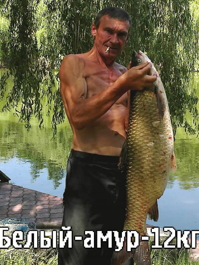  ,   , 62 ,   c 