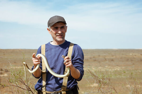  ,   Arslan, 50 ,   ,   