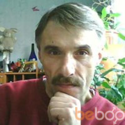  ,   Alnemo, 64 ,   