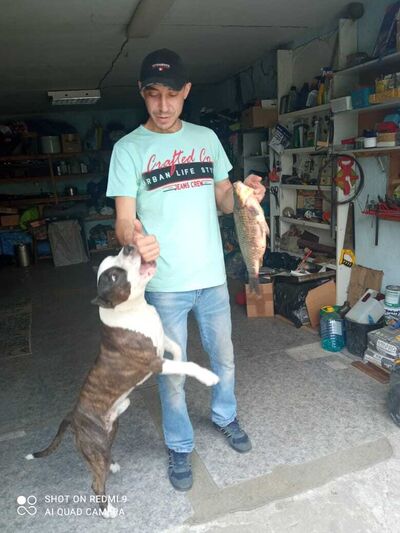 ,   , 40 ,   c 