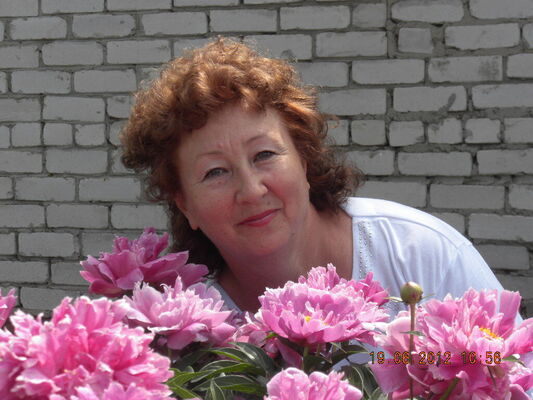  --,   , 67 ,   ,   