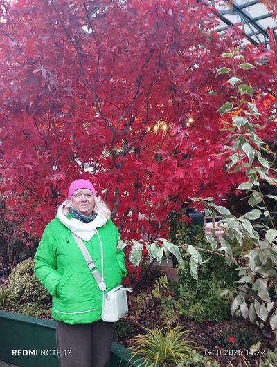  ,   , 66 ,   ,   , c 