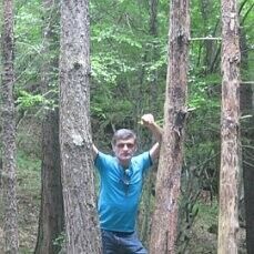  ,   Nikoloz, 50 ,   ,   , c 